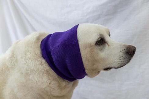 Cat Ear Muffs for Scratching Recovery Grey in Saudi Arabia