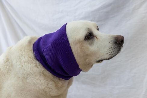 Cat Ear Muffs for Scratching Recovery Grey in Saudi Arabia
