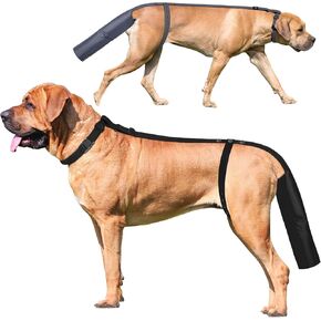 2 Pieces Dog Tail Protector Cover for Wounds, Dogs Tails Heal Sleeve, Dog Wound Care for Medium and Large Dogs to Assist in Recovery from Injury, Tail Size（L 14.9-16.5", Diameter 4.7-5.3"）