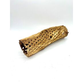Aqua Natural Cholla Log 2in - 3in Wide x 6in Long Hollow Single Piece for Shrimp, Geckos, Skinks and Other Lizards