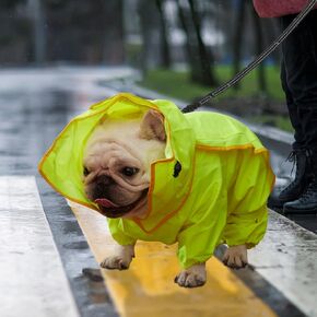 ABE Dog Raincoat,Dog Rain Jacket for Dogs,Dog Raincoats for Large Dogs,Dog Rain Coat for Small Dogs (XXX-Large)