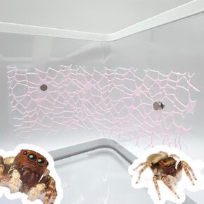 4 Pcs Jumping Spider Habitat Accessories - Jumping Spider Accessories with Magnet, Enhance Your Jumping Spider's Home with Functional and Stylish Spider Enclosure Décor, Pink