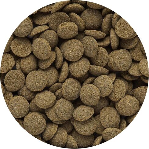 Hikari Tropical Sinking Wafers for Catfish, Loaches and Bottom Feeders 3.88 oz in Saudi Arabia