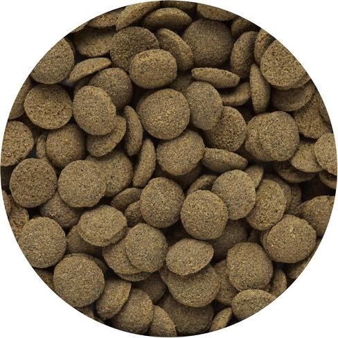 Hikari Tropical Sinking Wafers for Catfish, Loaches and Bottom Feeders 3.88 oz in Saudi Arabia