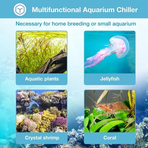 مبرد حوض السمك، 79 جالونًا 1/3 حصان مبرد مياه لنظام الزراعة المائية، نظام تبريد خزان الأسماك لمبرد أكسولوتل لروبيان الشعاب المرجانية، 300 لتر، مع مضخة وفوهات وأطواق. in Kuwait