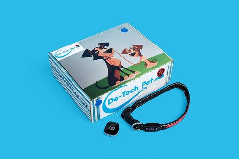 Bundle Pack Q68 PET Tracker- Waterproof,Unlimited Range,LED Collar,SIM Card with Free 1 Month Trial Everything Included (Small, Orange) in Saudi Arabia
