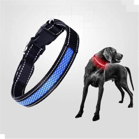 Bundle Pack Q68 PET Tracker- Waterproof,Unlimited Range,LED Collar,SIM Card with Free 1 Month Trial Everything Included (Small, Orange) in Saudi Arabia