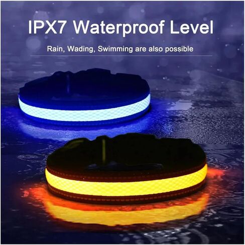 Bundle Pack Q68 PET Tracker- Waterproof,Unlimited Range,LED Collar,SIM Card with Free 1 Month Trial Everything Included (Small, Orange) in Saudi Arabia