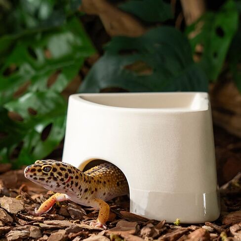 مأوى الزواحف، مأوى ترطيب السحلية، مخابئ الزواحف، مشهد الكهف، الحيوانات الأليفة المتسلقة للسحلية، العنكبوت، الثعبان، الضفادع (السيراميك) in Kuwait