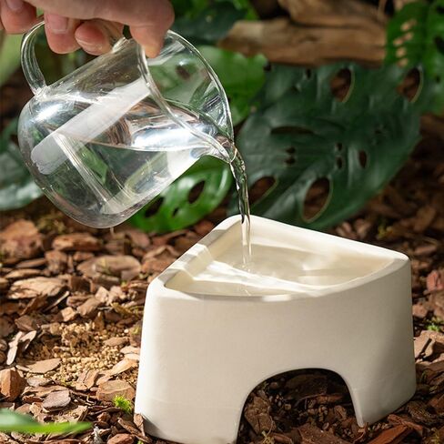 مأوى الزواحف، مأوى ترطيب السحلية، مخابئ الزواحف، مشهد الكهف، الحيوانات الأليفة المتسلقة للسحلية، العنكبوت، الثعبان، الضفادع (السيراميك) in Kuwait