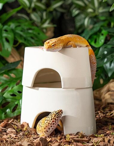 مأوى الزواحف، مأوى ترطيب السحلية، مخابئ الزواحف، مشهد الكهف، الحيوانات الأليفة المتسلقة للسحلية، العنكبوت، الثعبان، الضفادع (السيراميك) in Kuwait