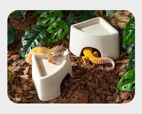 مأوى الزواحف، مأوى ترطيب السحلية، مخابئ الزواحف، مشهد الكهف، الحيوانات الأليفة المتسلقة للسحلية، العنكبوت، الثعبان، الضفادع (السيراميك) in Kuwait