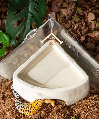 مأوى الزواحف، مأوى ترطيب السحلية، مخابئ الزواحف، مشهد الكهف، الحيوانات الأليفة المتسلقة للسحلية، العنكبوت، الثعبان، الضفادع (السيراميك) in Kuwait