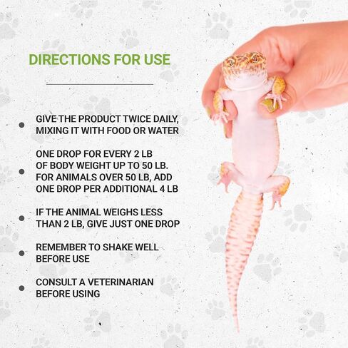 Reptilian Bones | Natural Herbal Dietary Pet Supplement for Reptiles | Support Healthy Bones | Alcohol-Free Extract, Stinging Nettle Leaf, Plantain, Dandelion Leaf, Gotu Kola, Turmeric 2 oz in Saudi Arabia