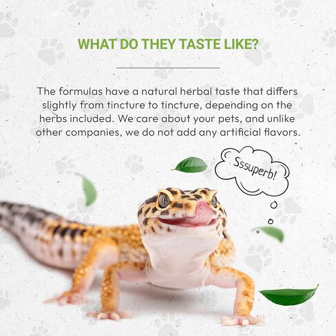 Reptilian Bones | Natural Herbal Dietary Pet Supplement for Reptiles | Support Healthy Bones | Alcohol-Free Extract, Stinging Nettle Leaf, Plantain, Dandelion Leaf, Gotu Kola, Turmeric 2 oz in Saudi Arabia