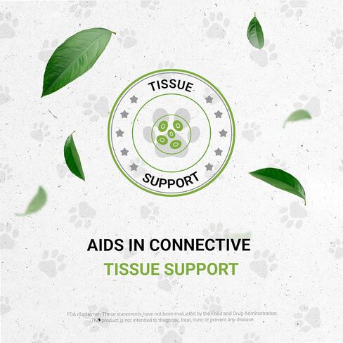 Reptilian Bones | Natural Herbal Dietary Pet Supplement for Reptiles | Support Healthy Bones | Alcohol-Free Extract, Stinging Nettle Leaf, Plantain, Dandelion Leaf, Gotu Kola, Turmeric 2 oz in Saudi Arabia