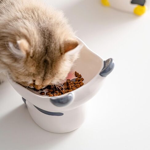 Ceramic Raised Cat Bowls for Indoor Cats 6 Inch Wide Cute Lion Elevated Cat Food Bowls 15° Tilted Whisker Friendly Cat Water Bowl Dishwasher and Microwave Safe Puppy Feeding Set Supplies in Saudi Arabia