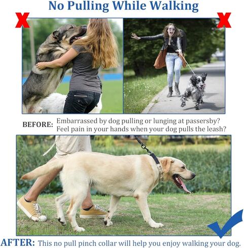 طوق للكلاب بدون سحب، طوق مسنن للكلاب الصغيرة والمتوسطة والكبيرة، طوق قرصة للكلاب مع إبزيم سريع التحرير، غطاء طوق مسنن، وصلات إضافية، مشبك أمان، أطراف مطاطية in Kuwait