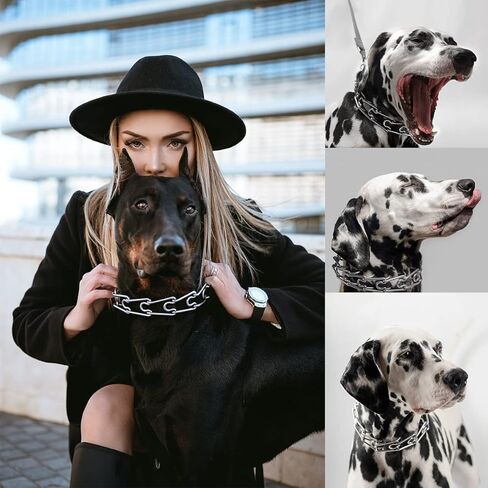 طوق للكلاب بدون سحب، طوق مسنن للكلاب الصغيرة والمتوسطة والكبيرة، طوق قرصة للكلاب مع إبزيم سريع التحرير، غطاء طوق مسنن، وصلات إضافية، مشبك أمان، أطراف مطاطية in Kuwait