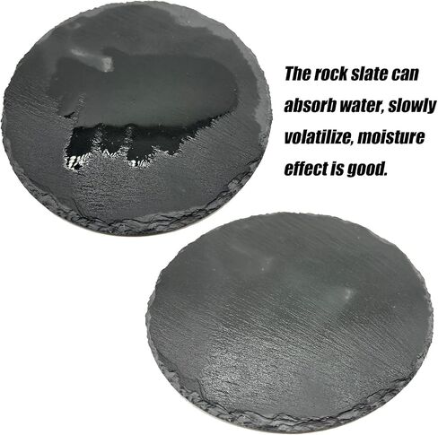 Reptile Basking Platform 2Pcs Large Turtle Rock Feeding Platform Plate Slate Food Dish Bowl Bathing Rock Resting Terrace for Lizard Bearded Dragon Chameleon Newt Gecko Snake (13.7''/35CM) in Kuwait