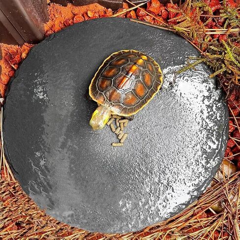 Reptile Basking Platform 2Pcs Large Turtle Rock Feeding Platform Plate Slate Food Dish Bowl Bathing Rock Resting Terrace for Lizard Bearded Dragon Chameleon Newt Gecko Snake (13.7''/35CM) in Kuwait