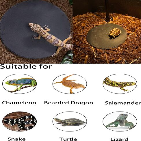 Reptile Basking Platform 2Pcs Large Turtle Rock Feeding Platform Plate Slate Food Dish Bowl Bathing Rock Resting Terrace for Lizard Bearded Dragon Chameleon Newt Gecko Snake (13.7''/35CM) in Kuwait