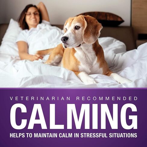 VetIQ Calming Support Supplement for Dogs, Calming Chews Help Manage Stress and Promote Relaxation, Anxiety Relief for Dogs, Made in The USA, 120 Count in Saudi Arabia