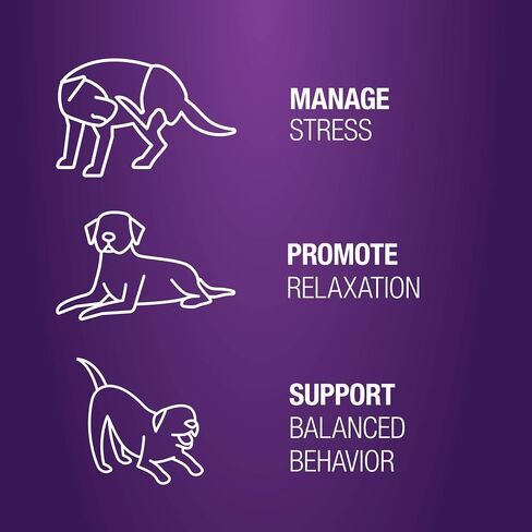 VetIQ Calming Support Supplement for Dogs, Calming Chews Help Manage Stress and Promote Relaxation, Anxiety Relief for Dogs, Made in The USA, 120 Count in Saudi Arabia