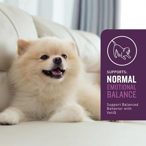 VetIQ Calming Support Supplement for Dogs, Calming Chews Help Manage Stress and Promote Relaxation, Anxiety Relief for Dogs, Made in The USA, 120 Count in Saudi Arabia