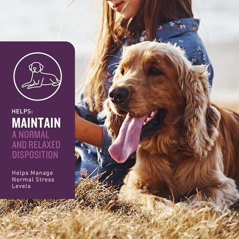 VetIQ Calming Support Supplement for Dogs, Calming Chews Help Manage Stress and Promote Relaxation, Anxiety Relief for Dogs, Made in The USA, 120 Count in Saudi Arabia