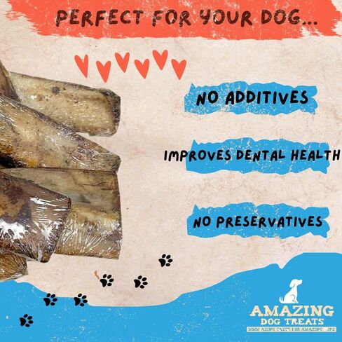 Amazing Dog Treats - Meaty Smoked Rib Bones (10 Count Pack) - Rib Bones for Dogs - Natural Smoked Grass Fed Cattle Rib Bone Dog Chew - Tasty Dog Bone Treat in Saudi Arabia