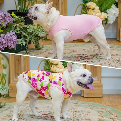 KOOLTAIL Dog Cooling Shirt-2 Pack Dog Cooling Vest Lightweight Sleeveless for Anxiety Relief Sun Protection Quick Dry Dog Summer Clothes Soft Hawaiian T Shirts Outfit for Small Medium Dogs (Pink M) in Saudi Arabia