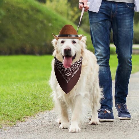 Dog Cowboy Hat with Star Decoration Dog Cowboy Costume for Small Pet Dogs Cat Cowboy Hat with Bandana Scarf Set Party Accessories (Brown, Small) in Saudi Arabia