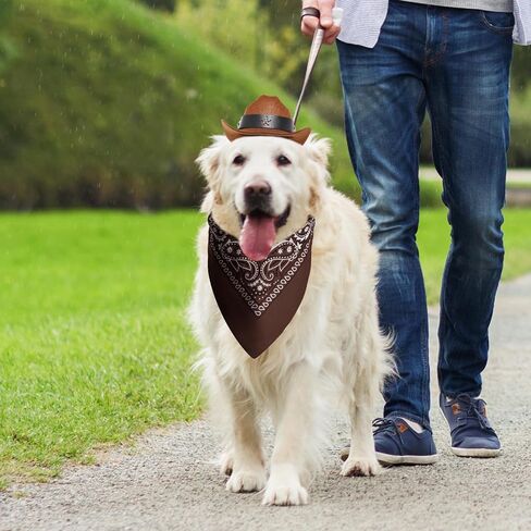 Dog Cowboy Hat with Star Decoration Dog Cowboy Costume for Small Pet Dogs Cat Cowboy Hat with Bandana Scarf Set Party Accessories (Brown, Small) in Saudi Arabia