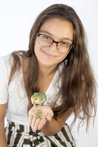 طعام الببغاء من توب، طعام الطيور الصغير للطيور الببغاء والكوكاتيل والببغاوات وطيور الحب والببغاوات - غير معدل وراثيًا، خالٍ من الفول السوداني والصويا والذرة، معتمد من وزارة الزراعة الأمريكية - 1 رطل in Kuwait