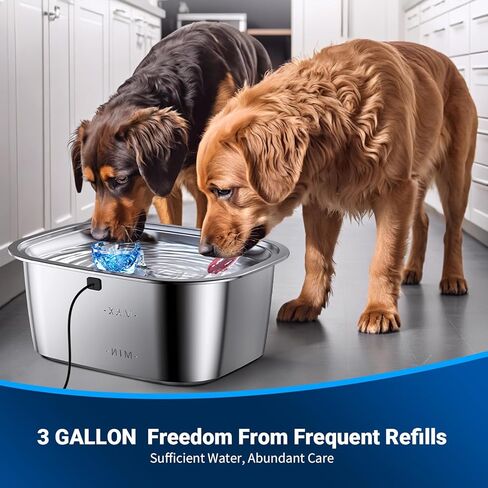 Dog Water Fountain for Large Dogs, Stainless Steel Dog Water Fountain, 3 Gallons Pet Fountain with 4pack Filters, Extra Big Dog Water Bowl Dispenser Inside, Cat Drinking Bowls, Quiet Pump in Saudi Arabia