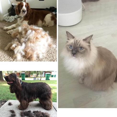 فرشاة للكلاب للتساقط، أمشاط للعناية بالكلاب، مشط للفرو السفلي للكلاب والقطط، أداة إزالة الوبر للكلاب، مشط للحيوانات الأليفة، مقبض خشبي فاخر، 20 شفرة من الفولاذ المقاوم للصدأ على الوجهين in Kuwait