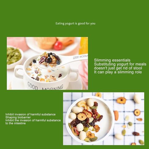 DIY Yogurt Maker Machine, Energy Saving Stainless Steel Container 15W Yogurt Maker Machine for Kitchen (US Plug 110V 1700W) in Saudi Arabia