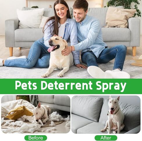 Bitter Apple Spray for Dogs to Stop Chewing. No Chew Spray for Dogs Puppies. Dog Training Aids to Stop Chewing. Effective Anti-Scratch Furniture Protector. Alcohol-Free Safe Formula, 4.2 oz. in Kuwait
