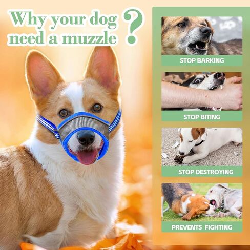 كمامة للكلاب، كمامة شبكية ناعمة قابلة للتنفس، كمامة شبكية هوائية للكلاب مع حزام عاكس وقابل للتعديل من أجل العض والمضغ، تسمح بالشرب، كمامة للكلاب الصغيرة (أزرق، صغير) in Kuwait