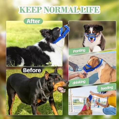 كمامة للكلاب، كمامة شبكية ناعمة قابلة للتنفس، كمامة شبكية هوائية للكلاب مع حزام عاكس وقابل للتعديل من أجل العض والمضغ، تسمح بالشرب، كمامة للكلاب الصغيرة (أزرق، صغير) in Kuwait