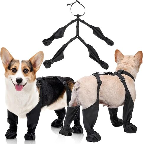 Waterproof Dog Boots with Suspenders, Dog Paw Protectors Shoes Leggings, Anti-Slip Boots for Small Medium Dog, Adjustable Pooch Tall Dog Suspender Rain Booties for Outdoor Hiking Hunting, M in Saudi Arabia