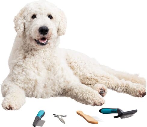 TRIXIE Pet Grooming Rake, Medium Tooth, For Dogs and Cats, Rotating Teeth Removes Loose Hair, Tangles, and Prevents Mats, 8.7" (22cm) in Saudi Arabia