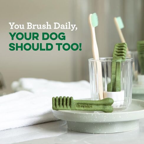 GREENIES Original Regular Natural Dog Dental Care Chews Oral Health Dog Treats, 72 oz. Pack (72 Treats) in Saudi Arabia