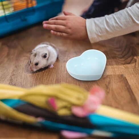 VILLCASE Hamster Ceramic Food Bowl, Turning Food Water Dish for Hamster Gerbil Hedgehog Rat Rodent, 3 Pcs(Green and Pink+Blue) in Saudi Arabia