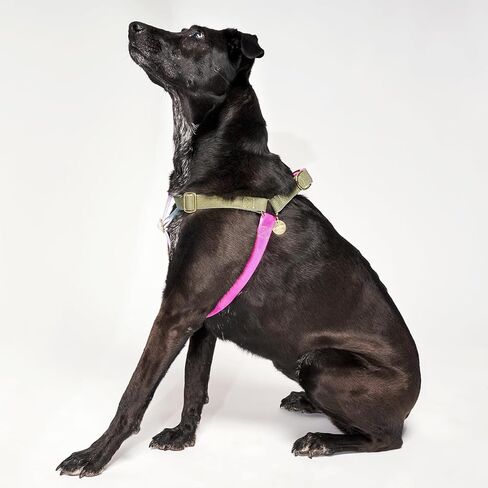 Found My Animal - Water Resistant Dog Harness (Red, Medium) - Heavy Duty Dog Walking Harness - Rubber Coated Webbing & Top Stitched - Easy Control for All Sized Dogs - Made in The USA in Saudi Arabia