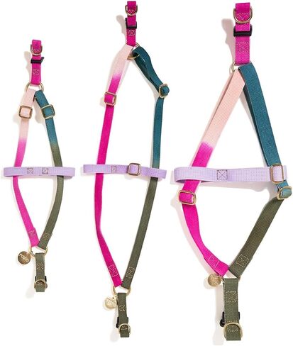 Found My Animal - Water Resistant Dog Harness (Red, Medium) - Heavy Duty Dog Walking Harness - Rubber Coated Webbing & Top Stitched - Easy Control for All Sized Dogs - Made in The USA in Saudi Arabia