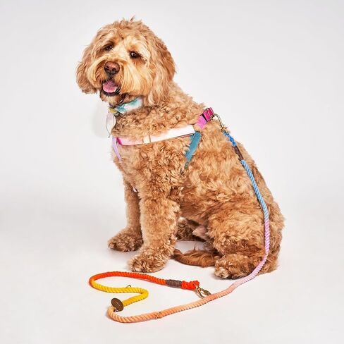 Found My Animal - Water Resistant Dog Harness (Red, Medium) - Heavy Duty Dog Walking Harness - Rubber Coated Webbing & Top Stitched - Easy Control for All Sized Dogs - Made in The USA in Saudi Arabia