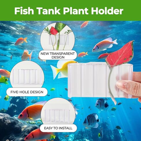 2pcs TOGJUSSAE Aquarium Plant Holder Fish Tank Plant Holder Top Hanging Plastic Aquatic Plant Cup - for Aquatic Plant and Decoration (Rimmed) in Saudi Arabia