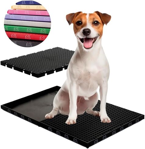PIPI DOLLY'S Hygienic Toilet for Dogs - Easy-Clean, Odor-Control Indoor Potty Solution for Small to Medium Breeds - Black in Saudi Arabia